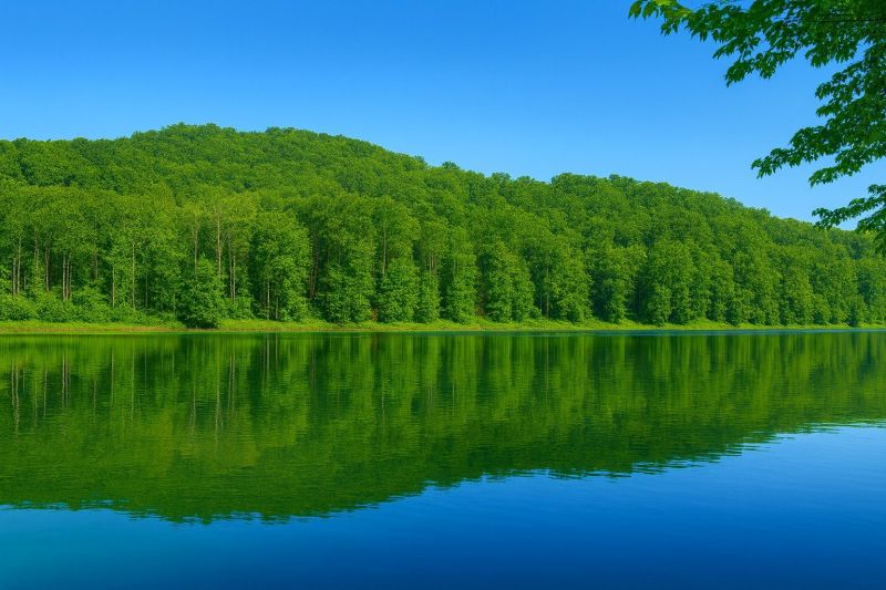 Best Shower Installation pros in North Ridgeville, OH